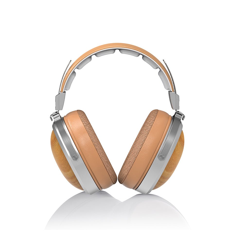 Fiio FT - 1 Closed Back Headphone - Headphone Bar Canada